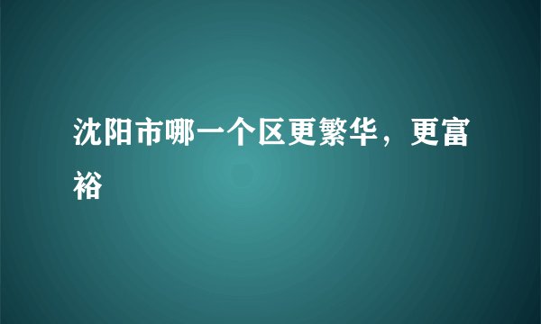 沈阳市哪一个区更繁华，更富裕
