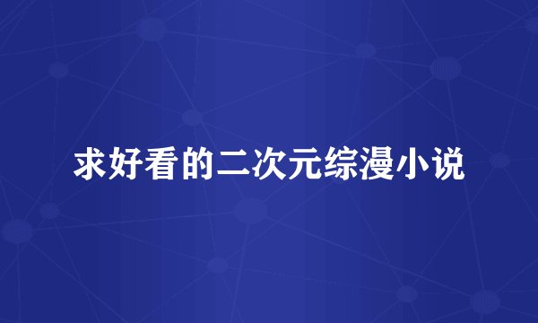求好看的二次元综漫小说