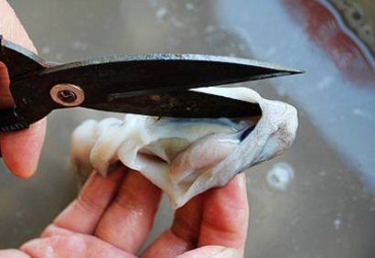 小章鱼要怎么处理，怎么洗啊？