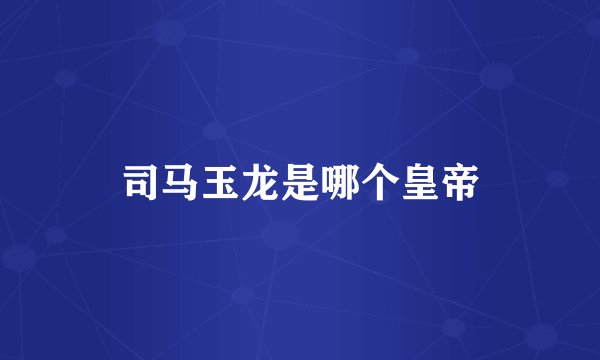 司马玉龙是哪个皇帝