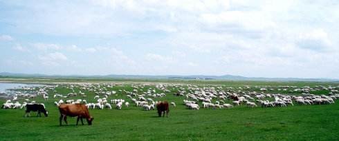 天苍苍，野茫茫，风吹草低见牛羊是什么意思
