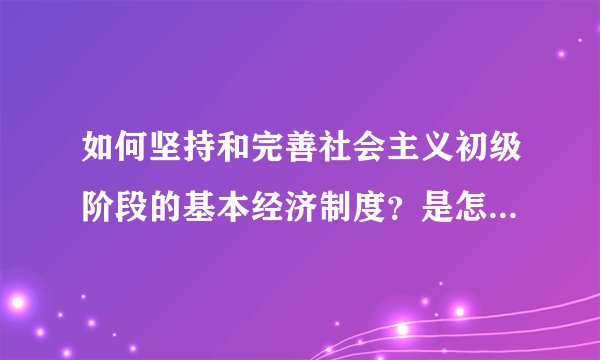 如何坚持和完善社会主义初级阶段的基本经济制度？是怎样的原理。