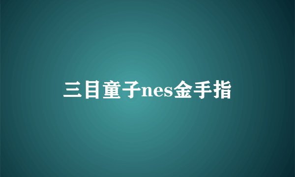 三目童子nes金手指
