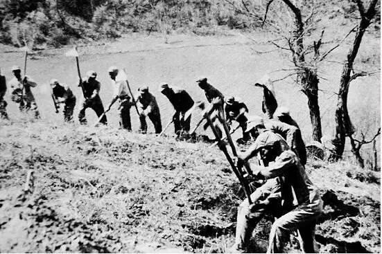 南泥湾开荒讲的是什么故事40-50字？