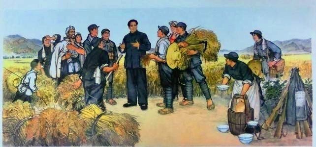 南泥湾开荒讲的是什么故事40-50字？