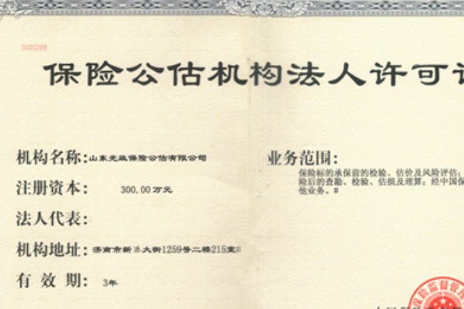 什么是保险公估公司