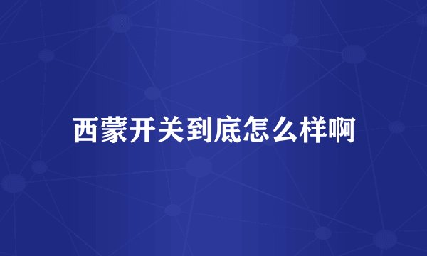 西蒙开关到底怎么样啊