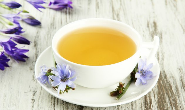 菊苣栀子茶的功效有哪些？