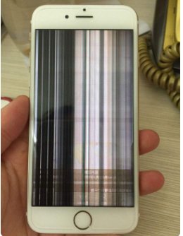 手机进水了！！屏幕还能用就是黑屏没显示怎么办