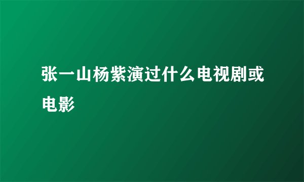 张一山杨紫演过什么电视剧或电影
