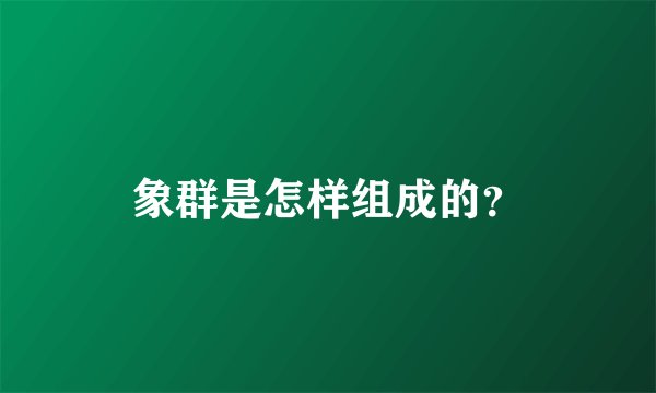 象群是怎样组成的？