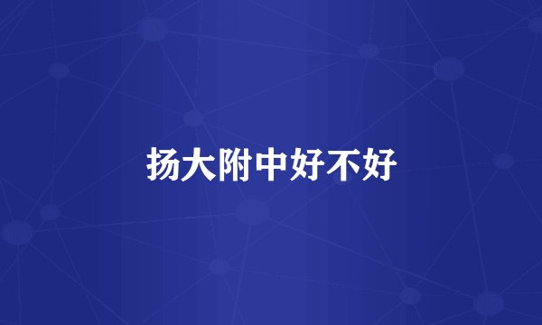 扬大附中好不好