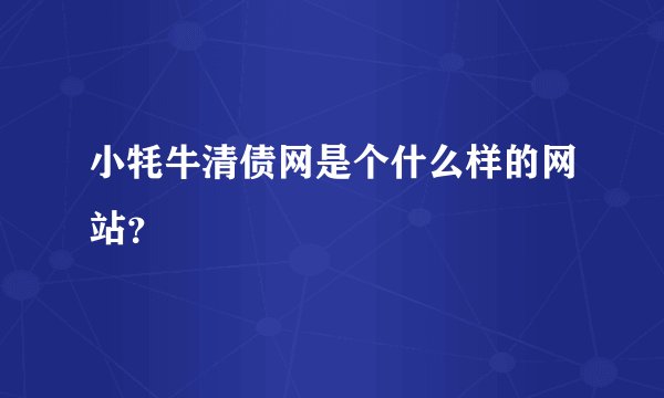 小牦牛清债网是个什么样的网站？