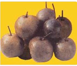 ...兰州特产有哪些可以带回家的...