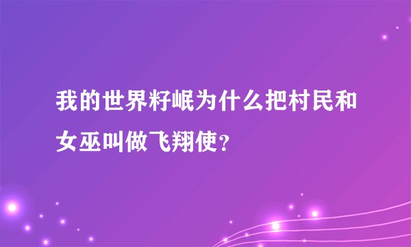 我的世界籽岷为什么把村民和女巫叫做飞翔使？