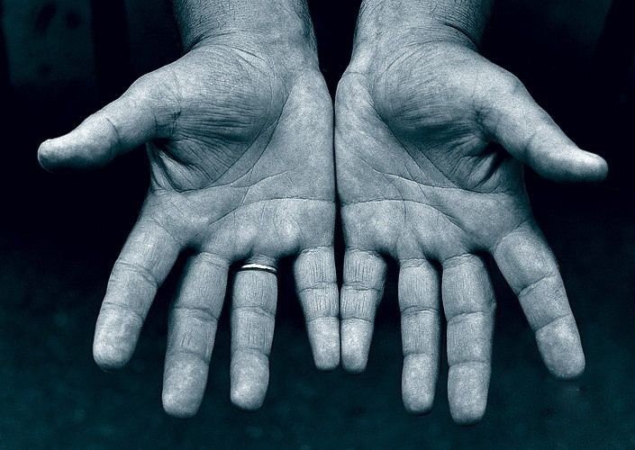 两棵小树十个叉.不长叶子不开花.能写会算还会画.天天干活不说话迷底是什么？