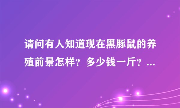 请问有人知道现在黑豚鼠的养殖前景怎样？多少钱一斤？谢谢！！