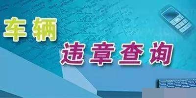 违章查询是123多少