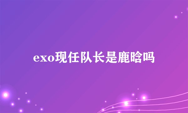 exo现任队长是鹿晗吗