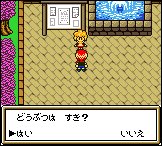 牧场物语矿石镇的伙伴们详细流程图文攻略（GBA）