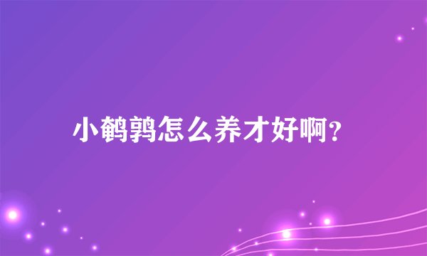小鹌鹑怎么养才好啊？