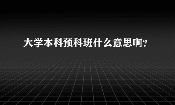大学本科预科班什么意思啊？