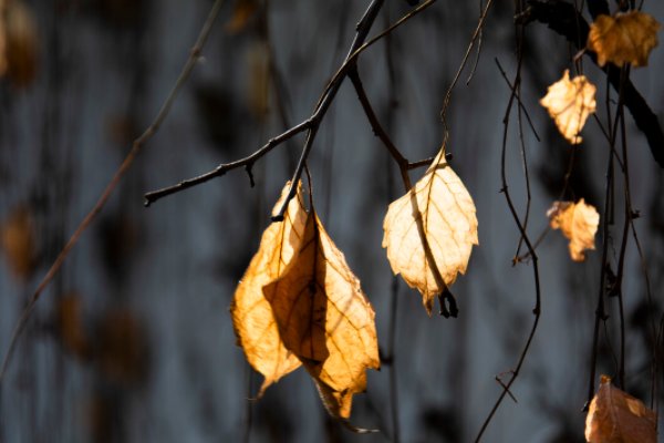 有一种美好叫冬日暖阳下一句是什么？