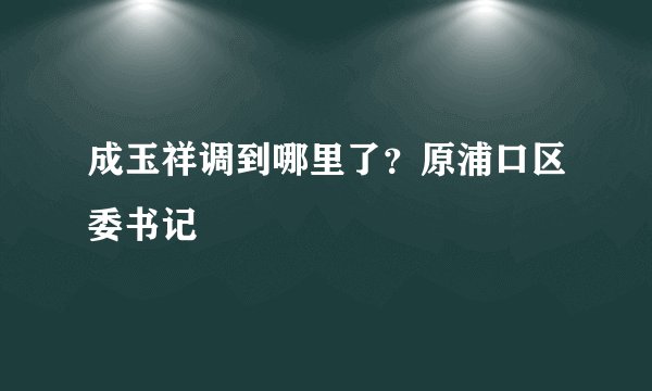 成玉祥调到哪里了？原浦口区委书记