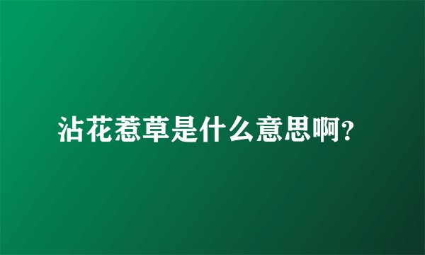 沾花惹草是什么意思啊？