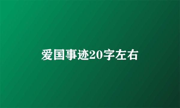 爱国事迹20字左右