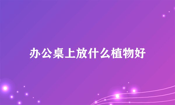 办公桌上放什么植物好