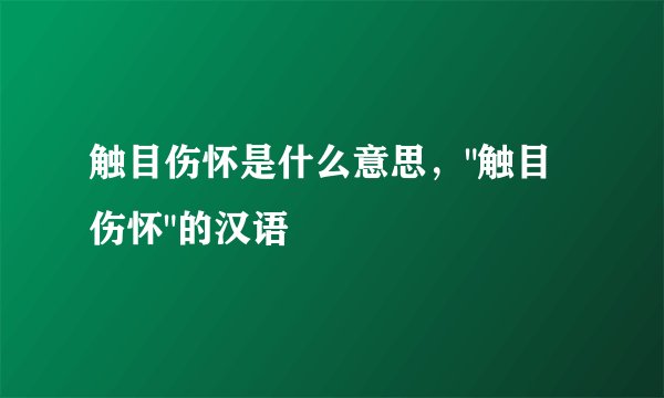 触目伤怀是什么意思，