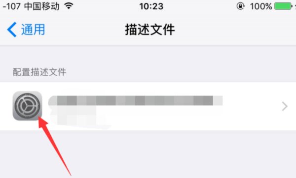 描述文件无法删除？