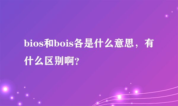 bios和bois各是什么意思，有什么区别啊？