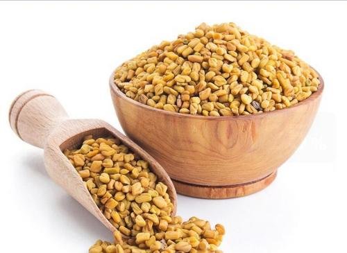 苦豆在调料起什么作用？