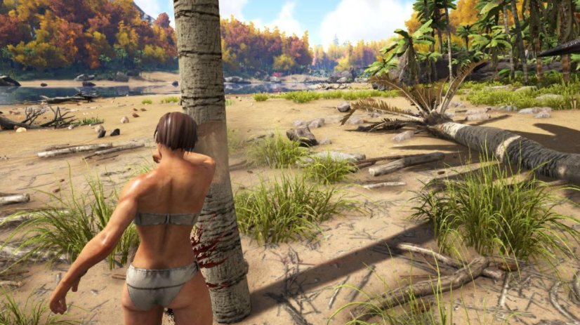 《方舟s+mod》功能介绍是什么？