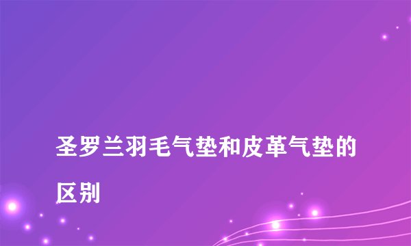
圣罗兰羽毛气垫和皮革气垫的区别

