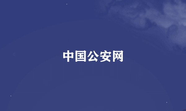 中国公安网