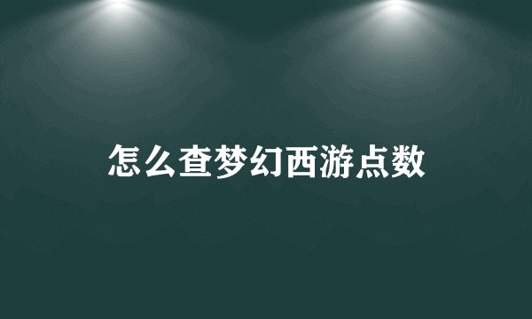 怎么查梦幻西游点数