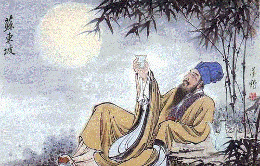 “但愿人长久，千里共婵娟”，苏东坡借这首词表达了对谁的思念之情？