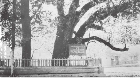 三湾改编建立什么原则