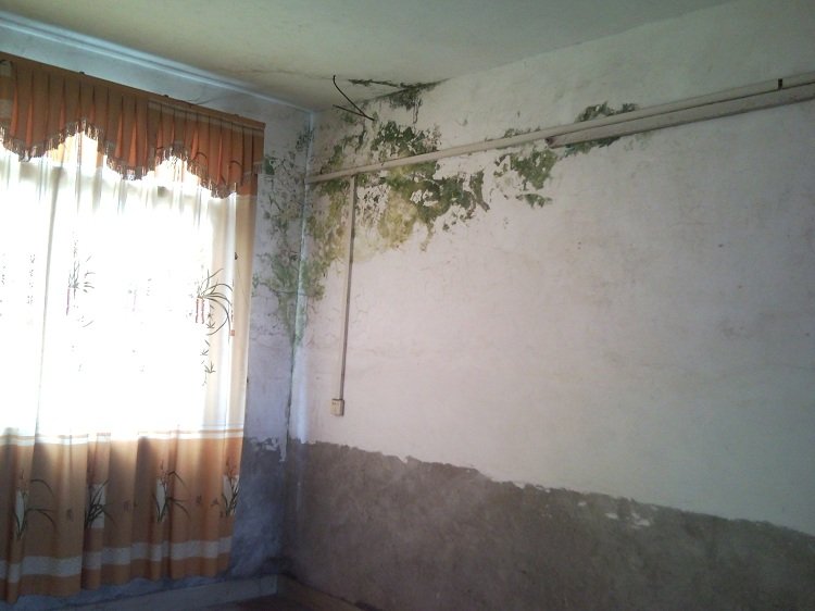 1千元以下的小本生意