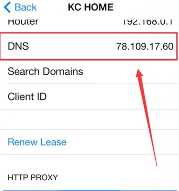 苹果手机打不开网页是怎么回事？