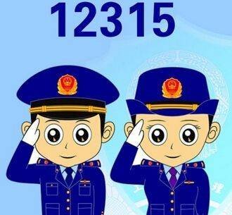 如何在12315网站上查询到投诉过的信息