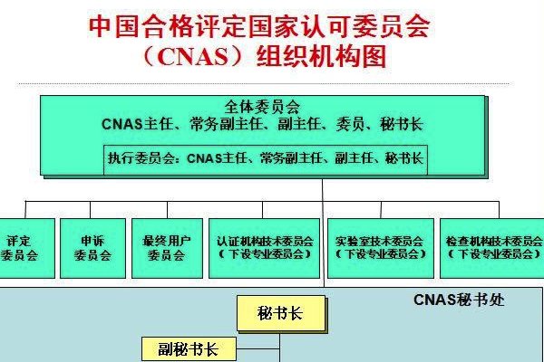 CNAS是什么？