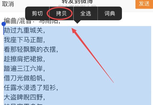 网易云音乐怎么下载歌词?