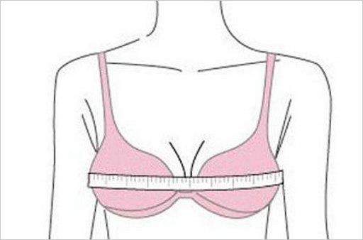 胸大小的分类，什么36D，38D，什么意思啊？