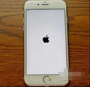 苹果手机屏幕白屏开不了机怎么办？