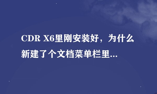 CDR X6里刚安装好，为什么新建了个文档菜单栏里的字没有了啊？文件，视图，布局，排列，效果等没有了