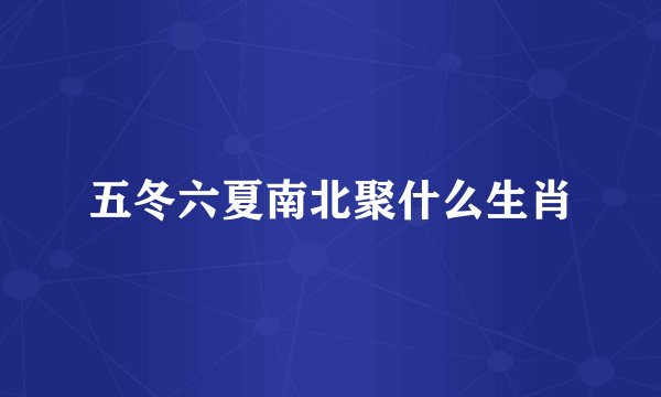 五冬六夏南北聚什么生肖